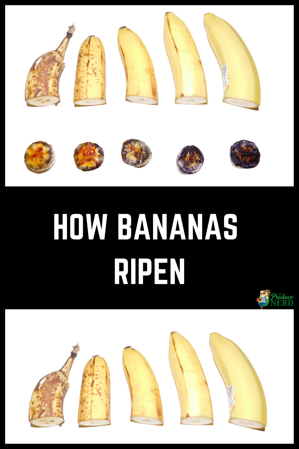 Read more about the article What Banana Is Right For You: The Banana Ripening Process