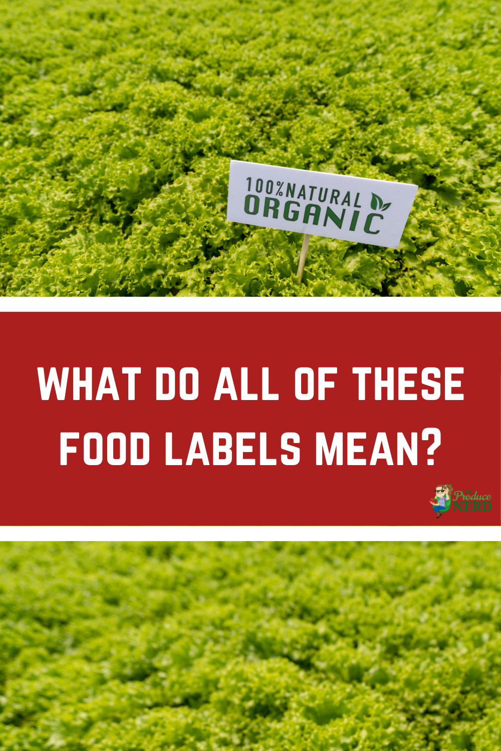 Read more about the article How to Understand Food Labels: Conventional, Organic,  Sustainable, Natural & GMOs