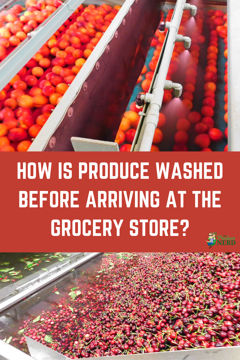 Read more about the article How Is Your Produce Being “Washed”?