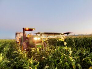 Corn Harvesting