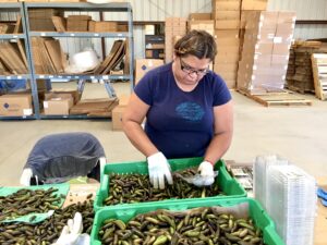 Finger Lime Packing