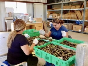 Finger Lime Packing