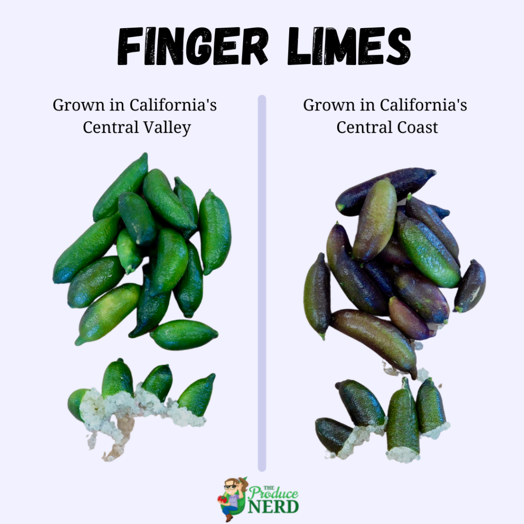 Finger Lime skin color based on growing region