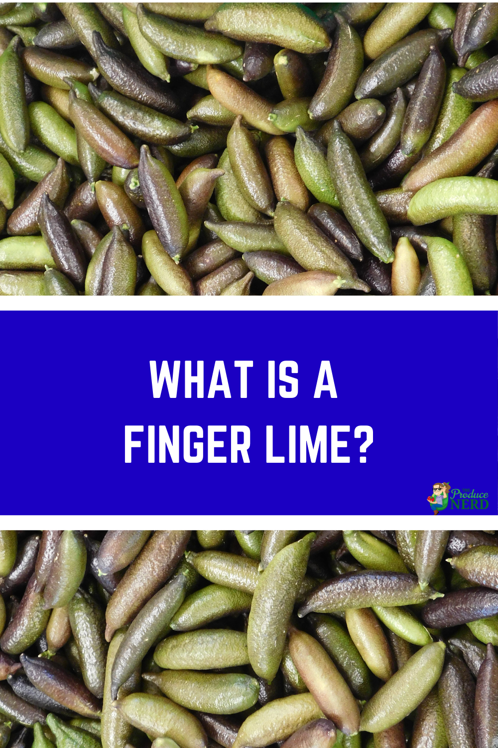 Read more about the article What Is A Finger Lime?