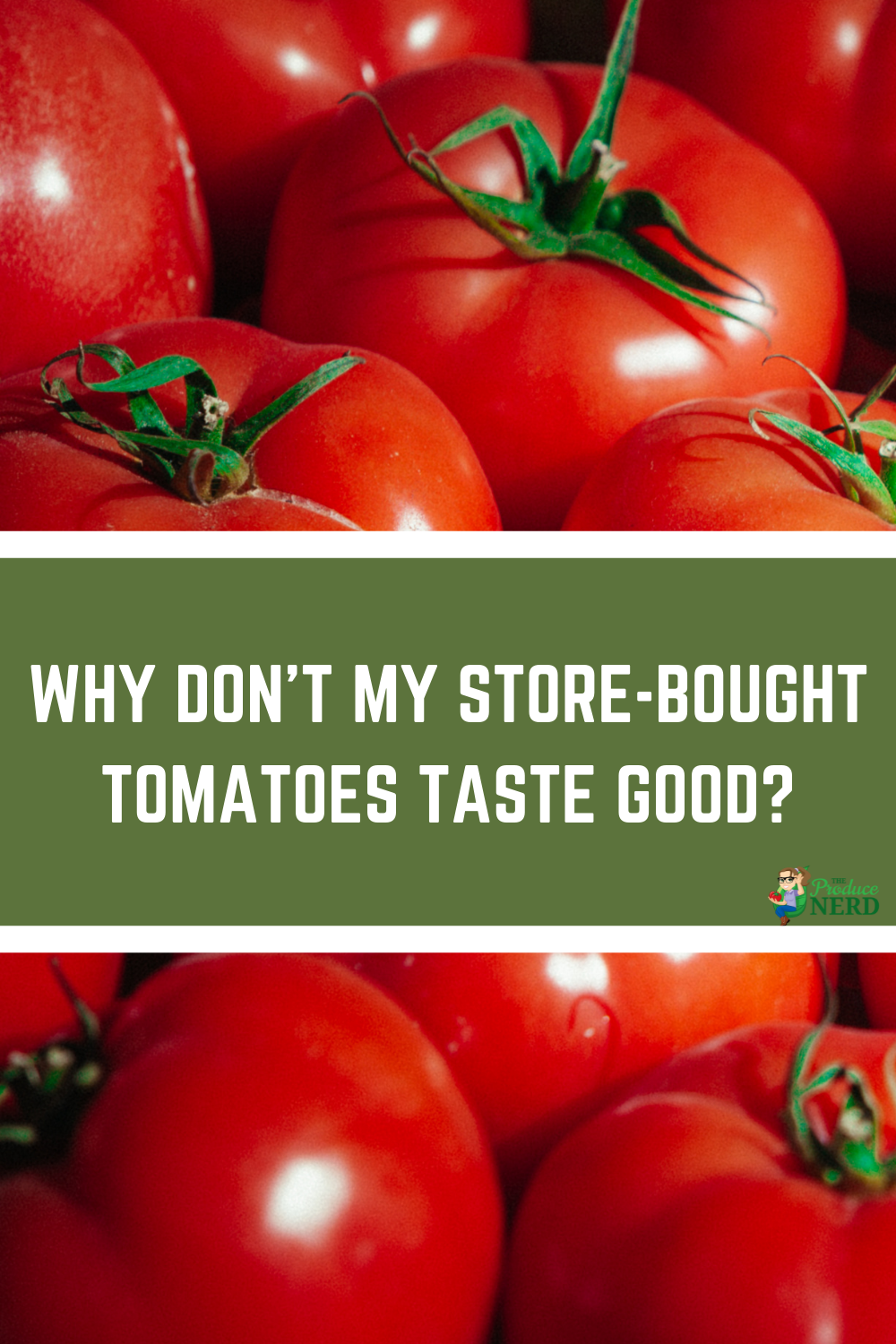 Read more about the article Why Don’t My Store-Bought Tomatoes Taste Good?