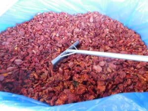 Sun Dried Tomato Processing - Final Product After Processing