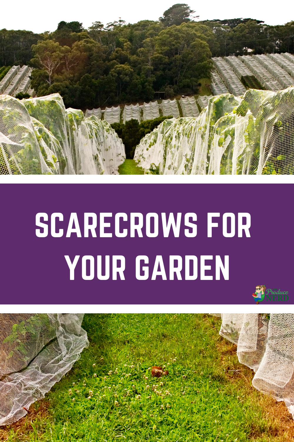 Read more about the article Modern Day Scarecrows: Scarecrows for Your Garden