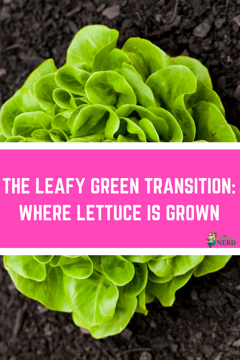 Read more about the article The Leafy Green “Transition”