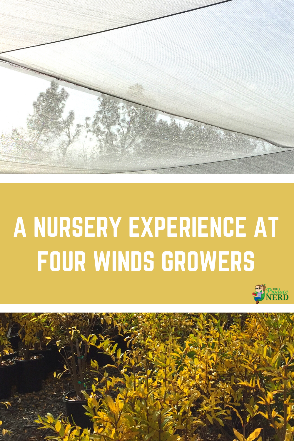 Read more about the article A Fruit Tree Nursery Experience at Four Winds Growers