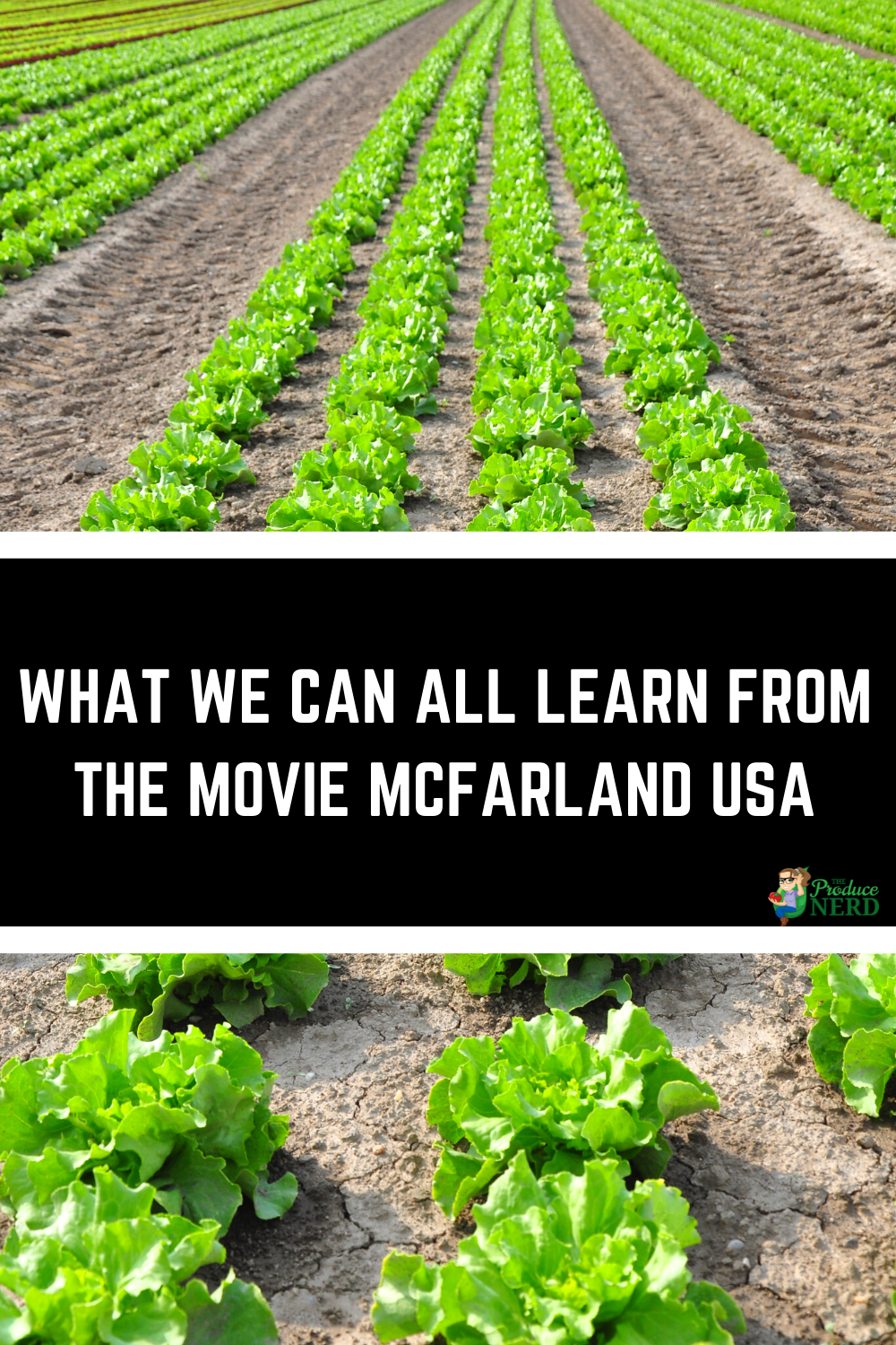 Read more about the article What We Can All Learn From the Movie McFarland USA