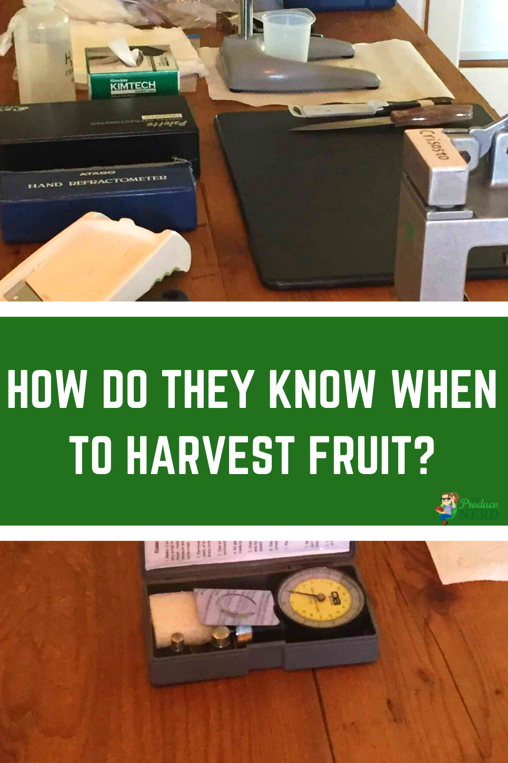 Read more about the article Maturity Indices: How to Know When to Harvest Fruit?