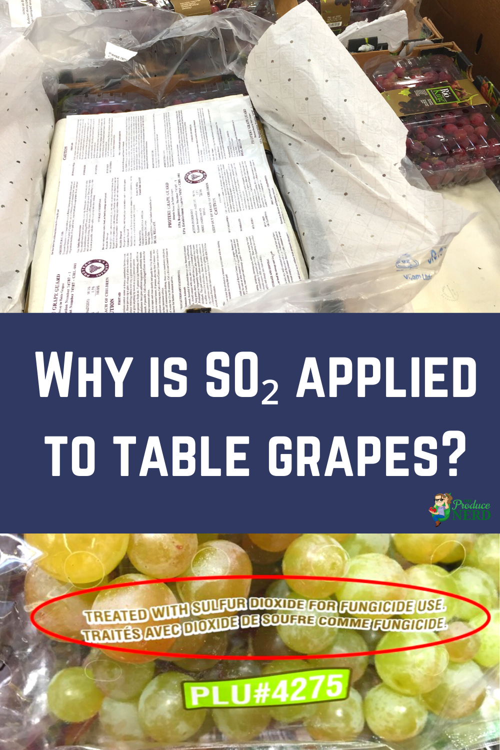 Read more about the article Why is Sulfur Dioxide Applied to Grapes?