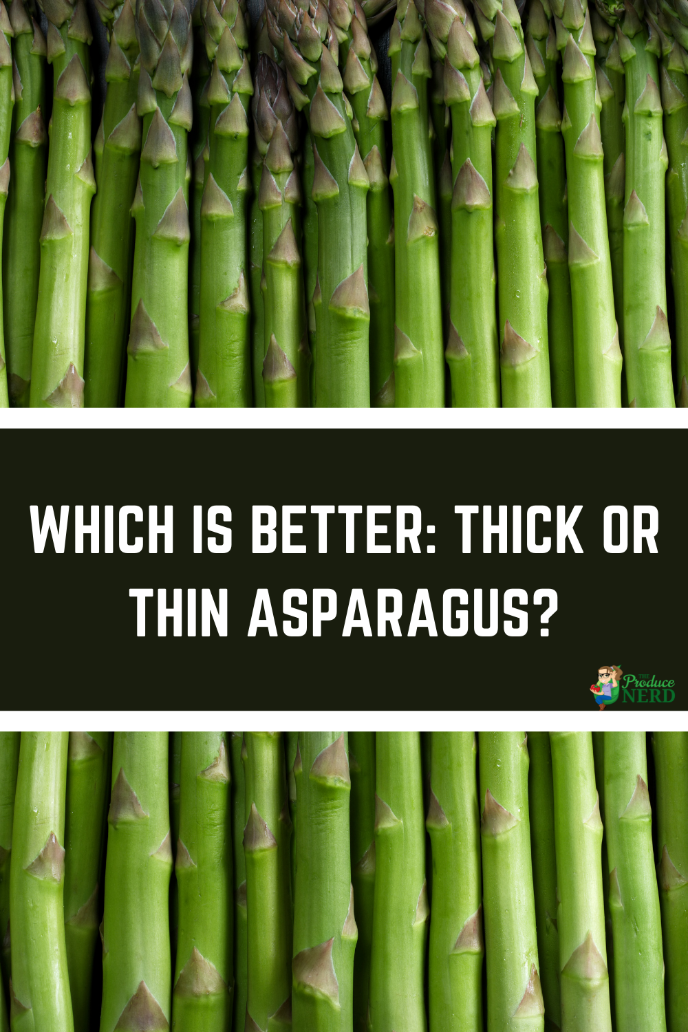 You are currently viewing Which is Better: Thick or Thin Asparagus?