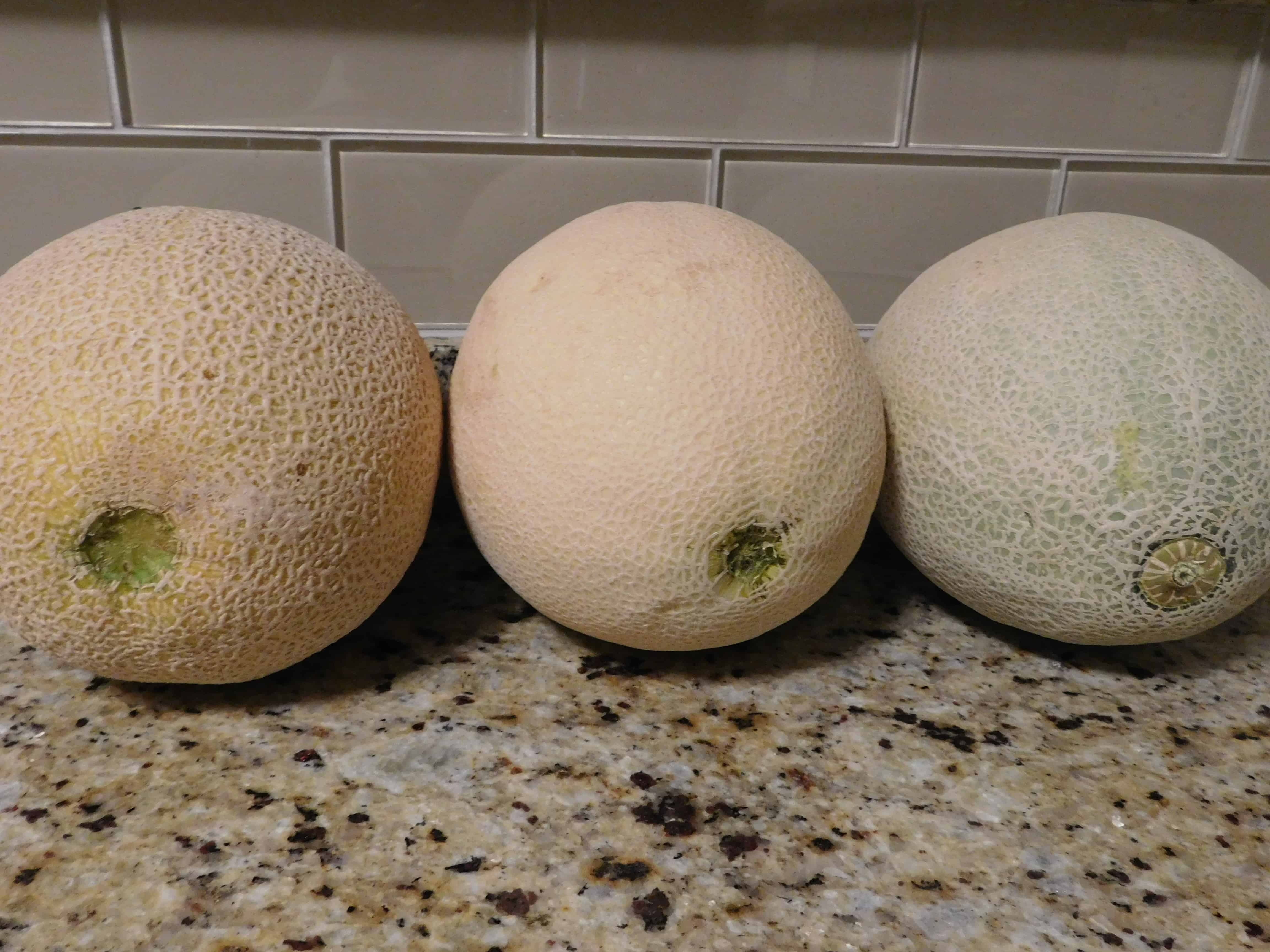 How To Pick A Ripe Cantaloupe Goodnature