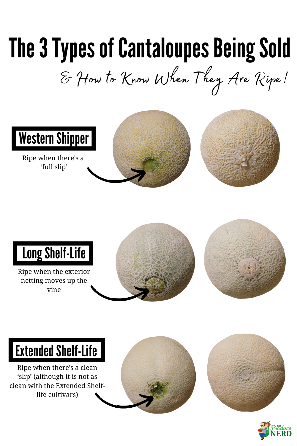 Read more about the article How to Select a Ripe Cantaloupe Every Time!