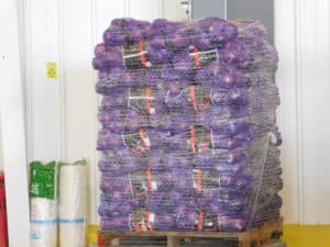 Onion Packing - Palletizing