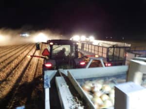 Onion Machine Harvest - Top Air