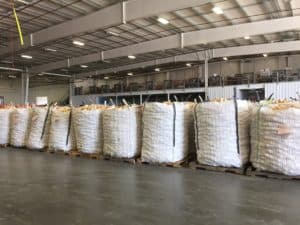 Onion Packing - Packed Bulk Bags