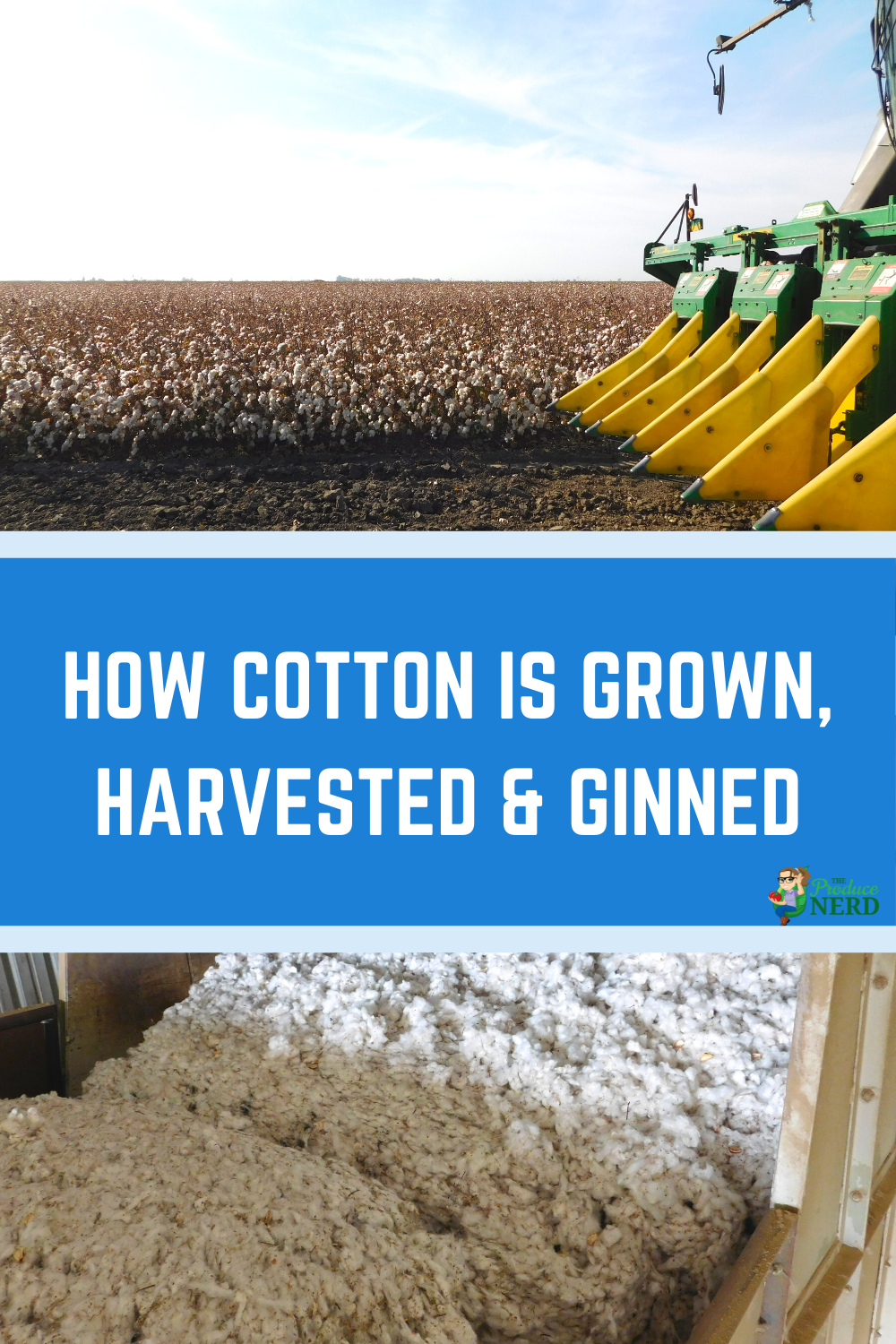 Read more about the article How is Cotton Grown, Harvested & Ginned in California