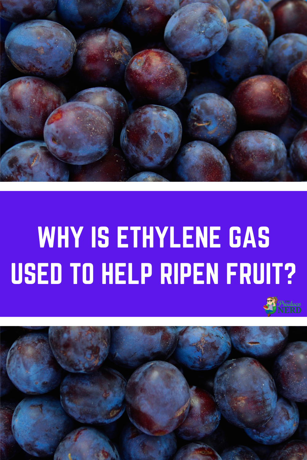 Read more about the article What is Ethylene Gas & How is it Used?