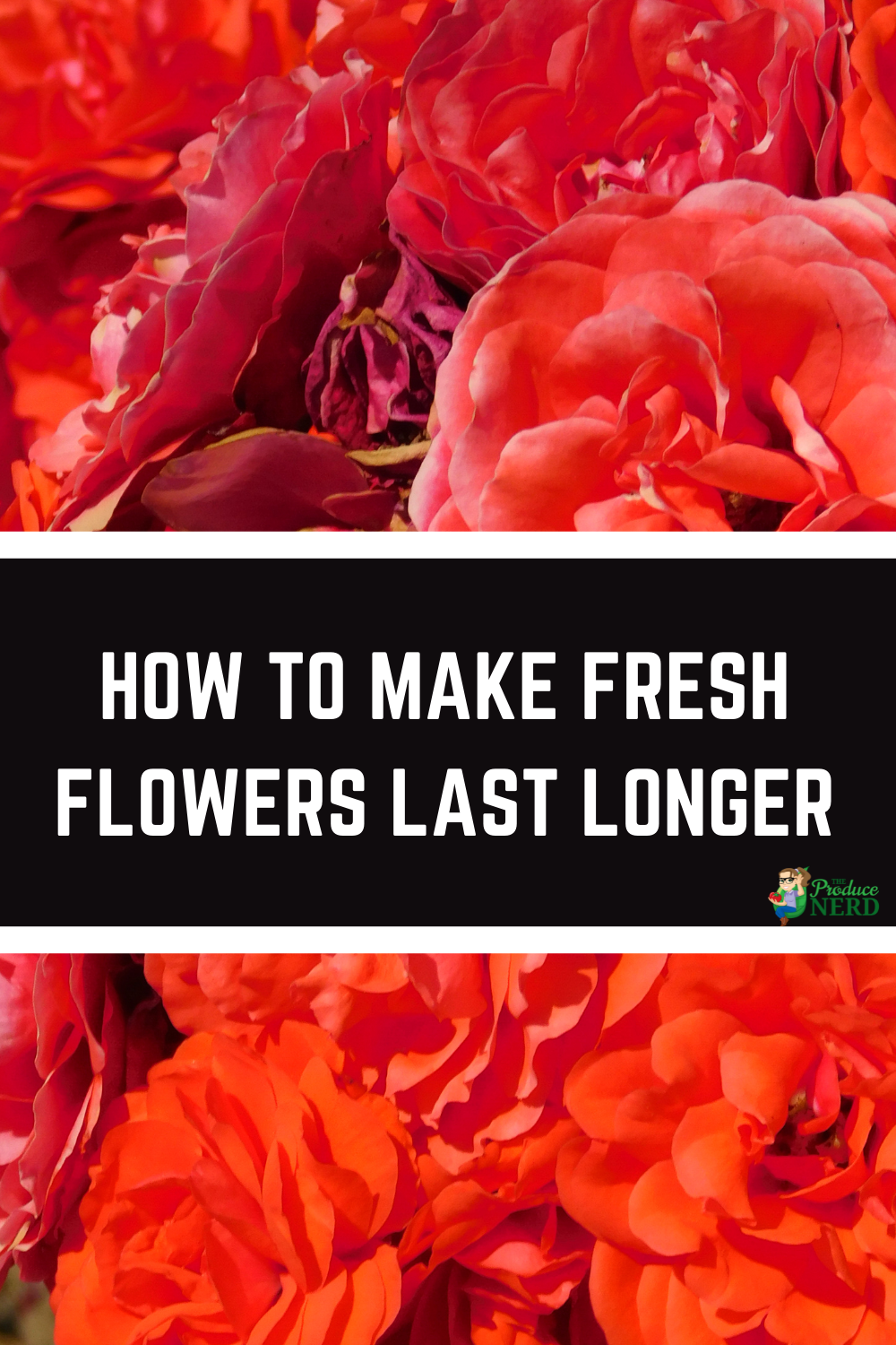 Read more about the article How to Make Flowers Last Longer