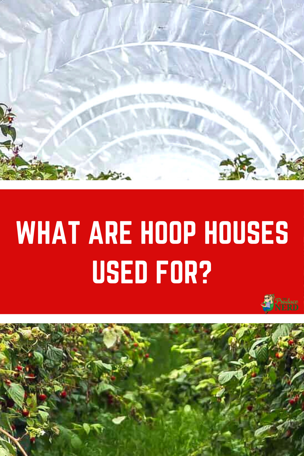 Read more about the article What are Hoop Houses Used for?