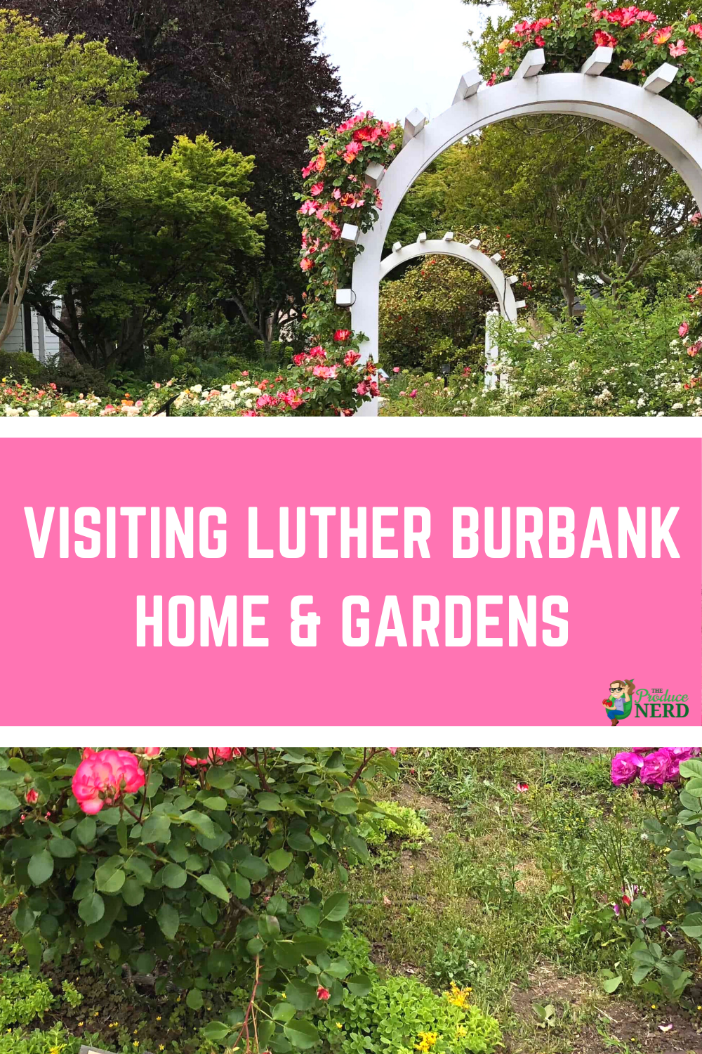 Read more about the article Visiting the Luther Burbank Home and Gardens