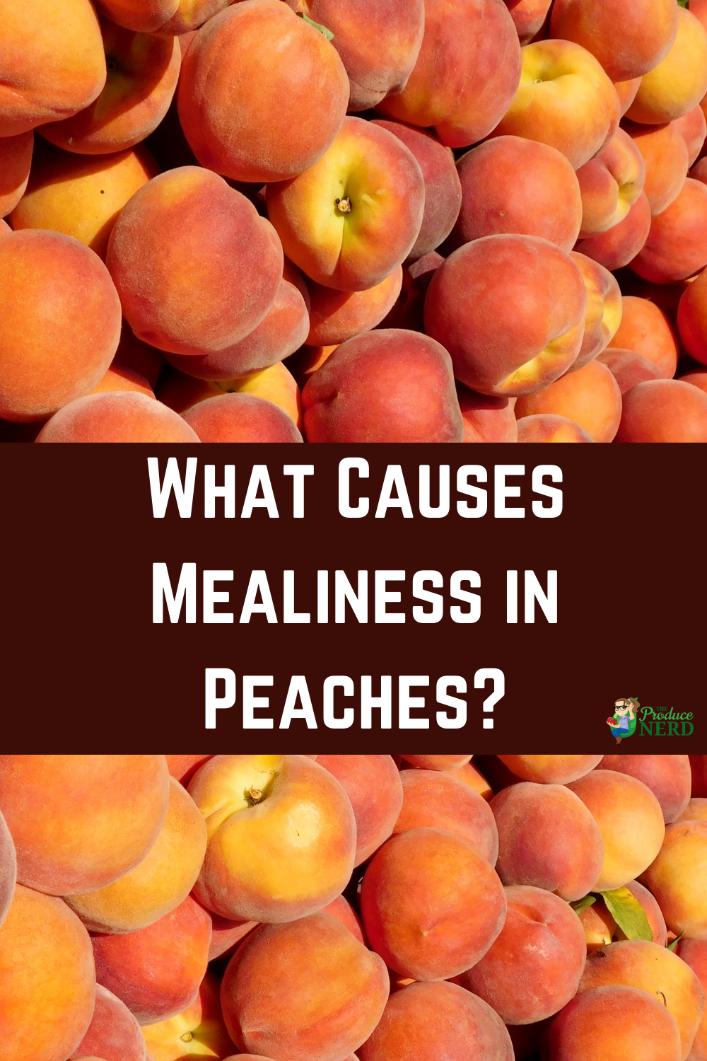 Read more about the article What Causes Mealy Peaches?