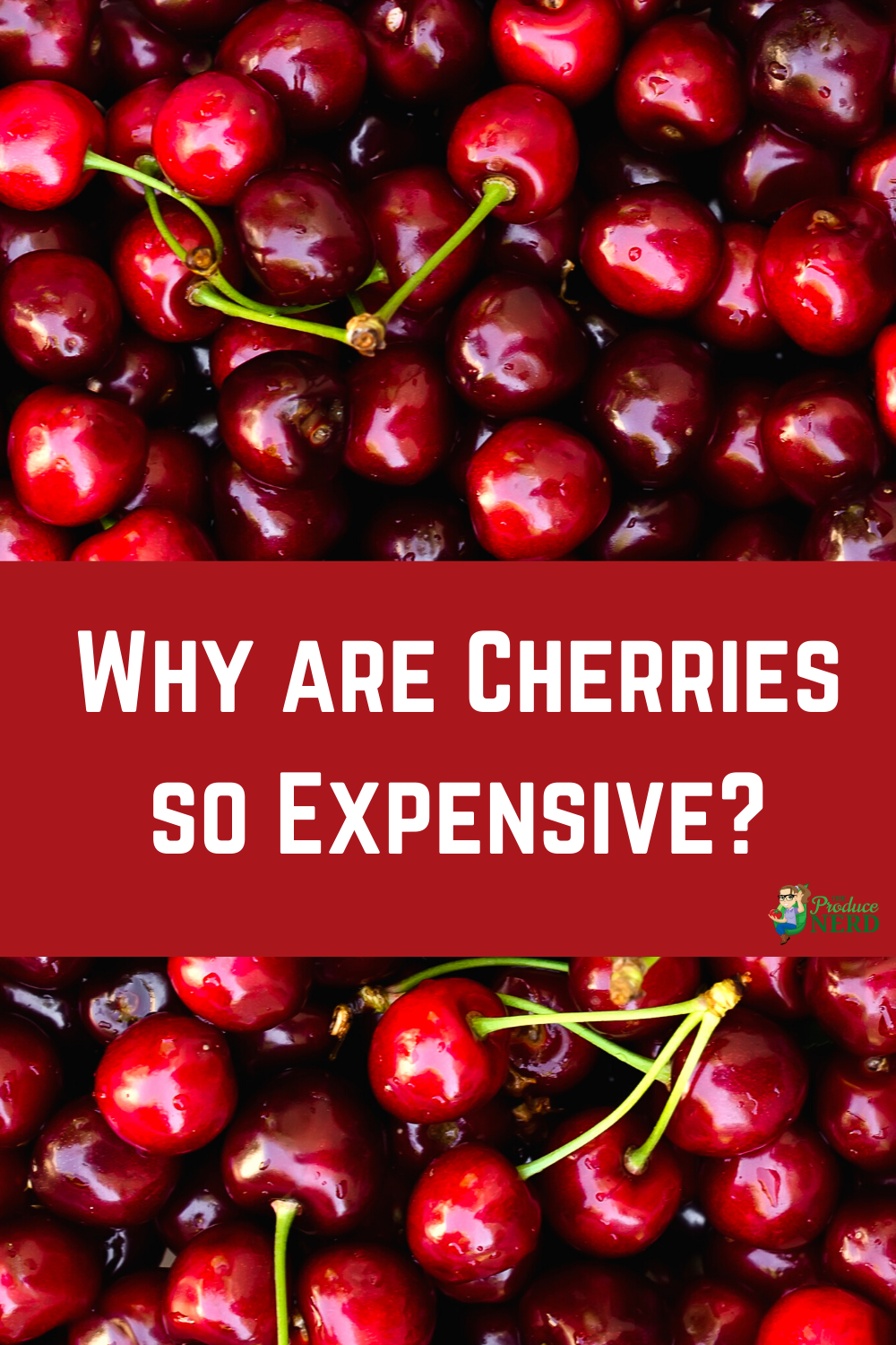 Read more about the article Why Are Cherries So Expensive?