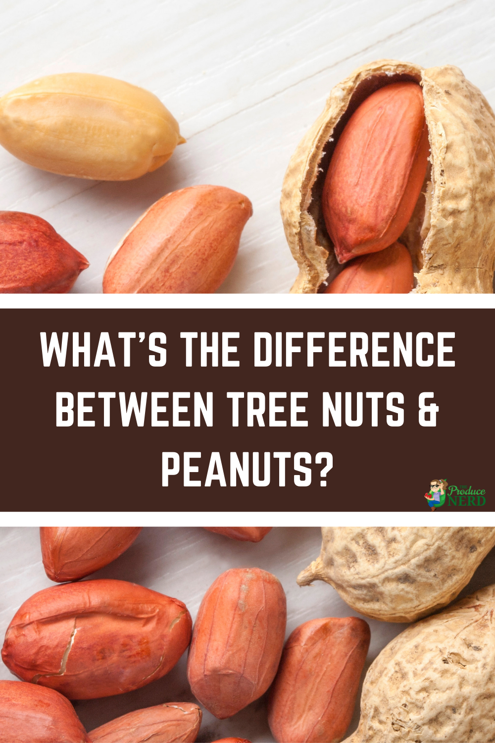 Read more about the article What’s the Difference Between Tree Nuts and Peanuts?