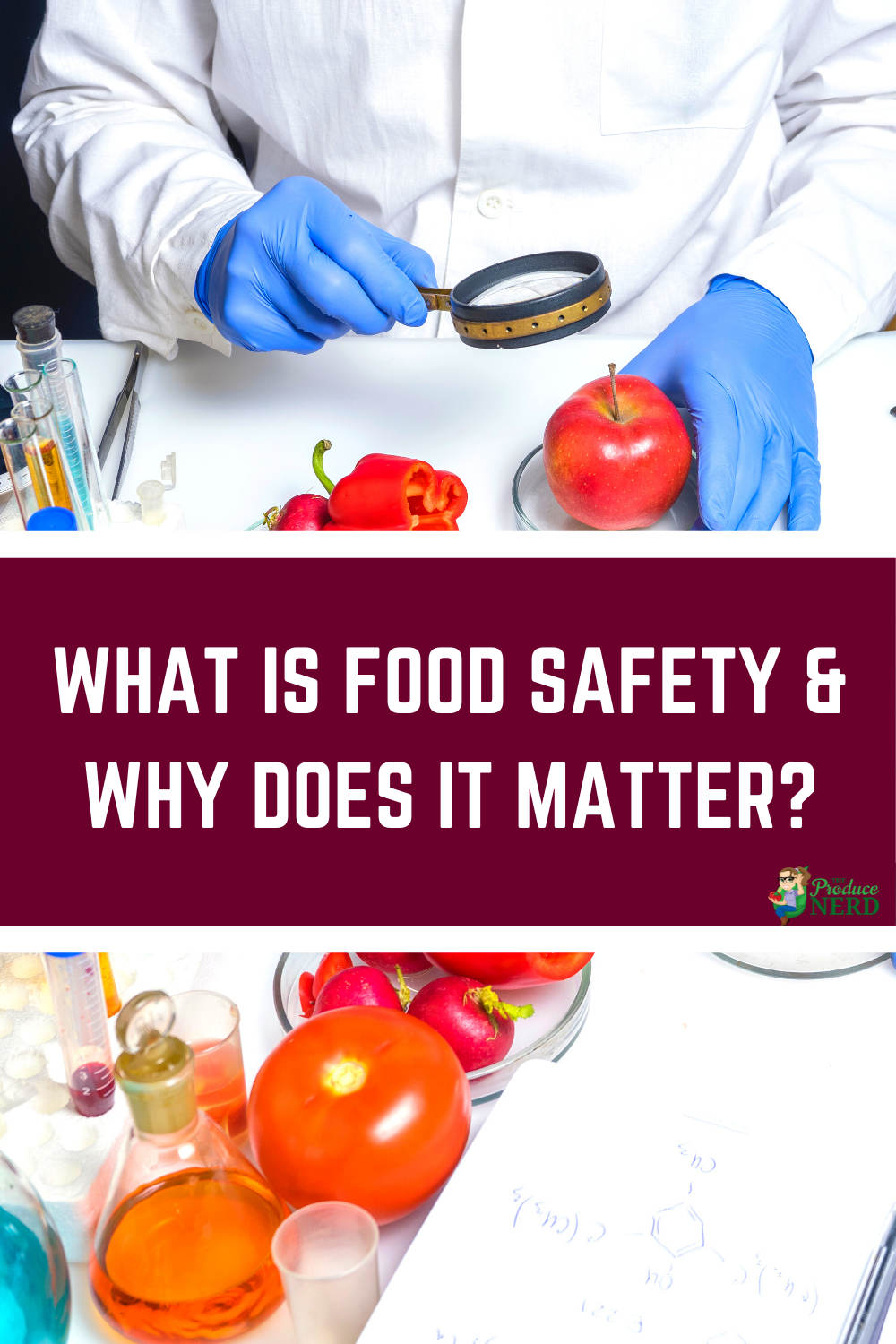 Read more about the article What is Food Safety & Why is it Important?