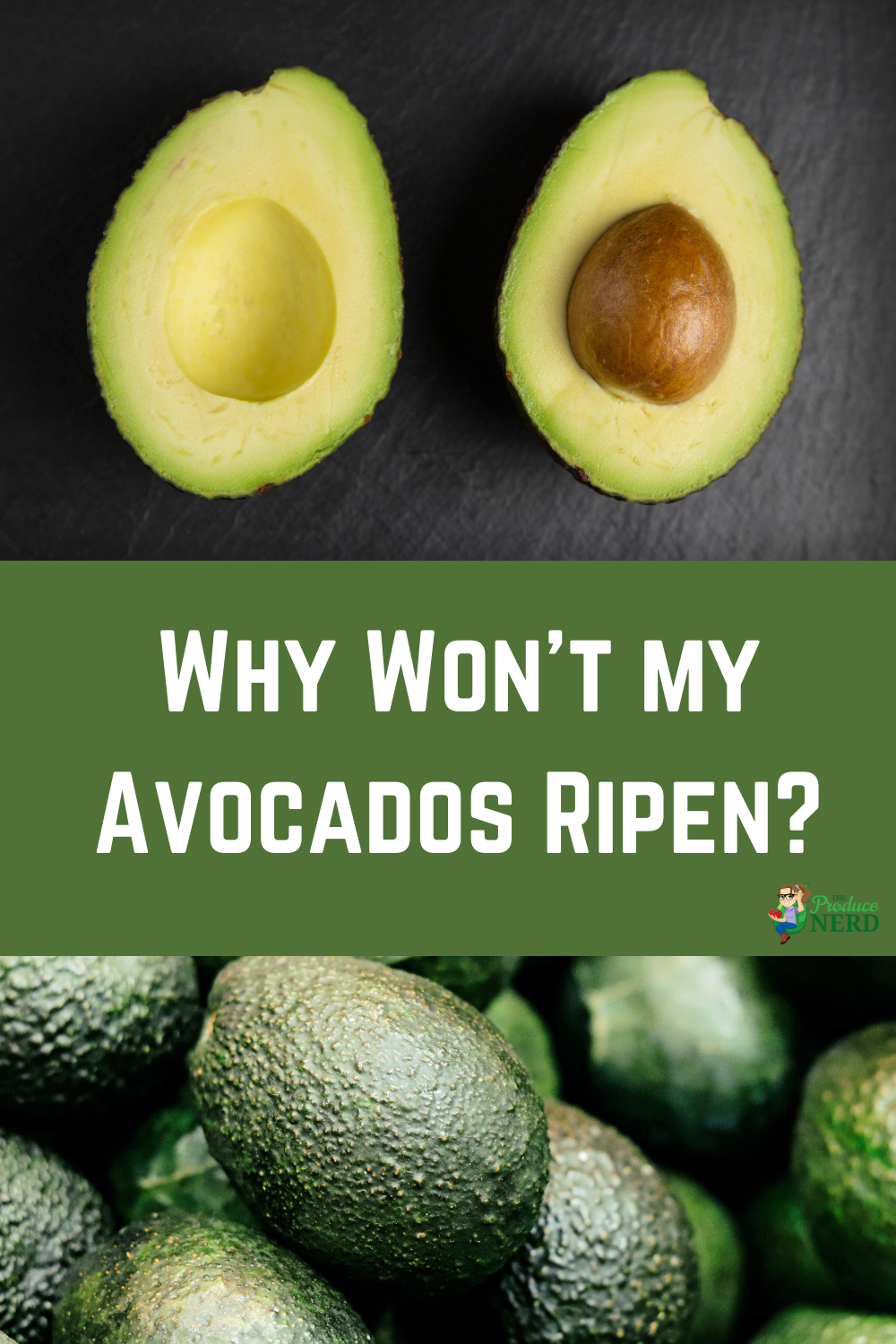 Read more about the article Why Won’t My Avocados Ripen?