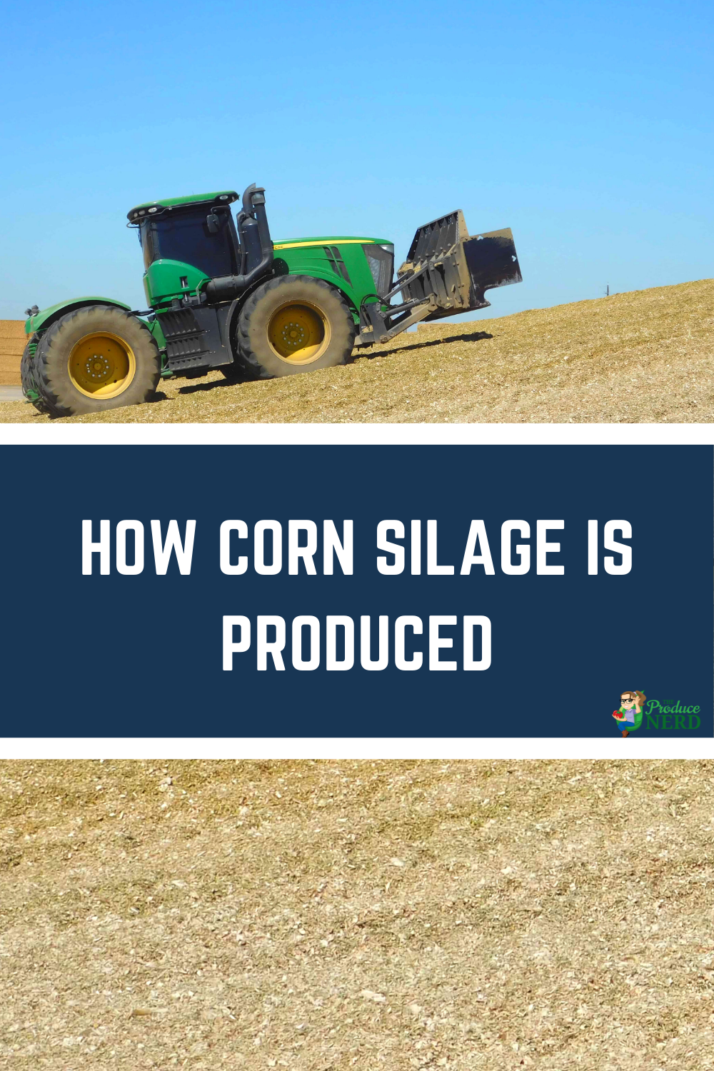 Read more about the article Corn Silage Production