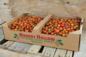 Sustainable Packaging Materials - Hungry Hollow Cherry Tomatoes