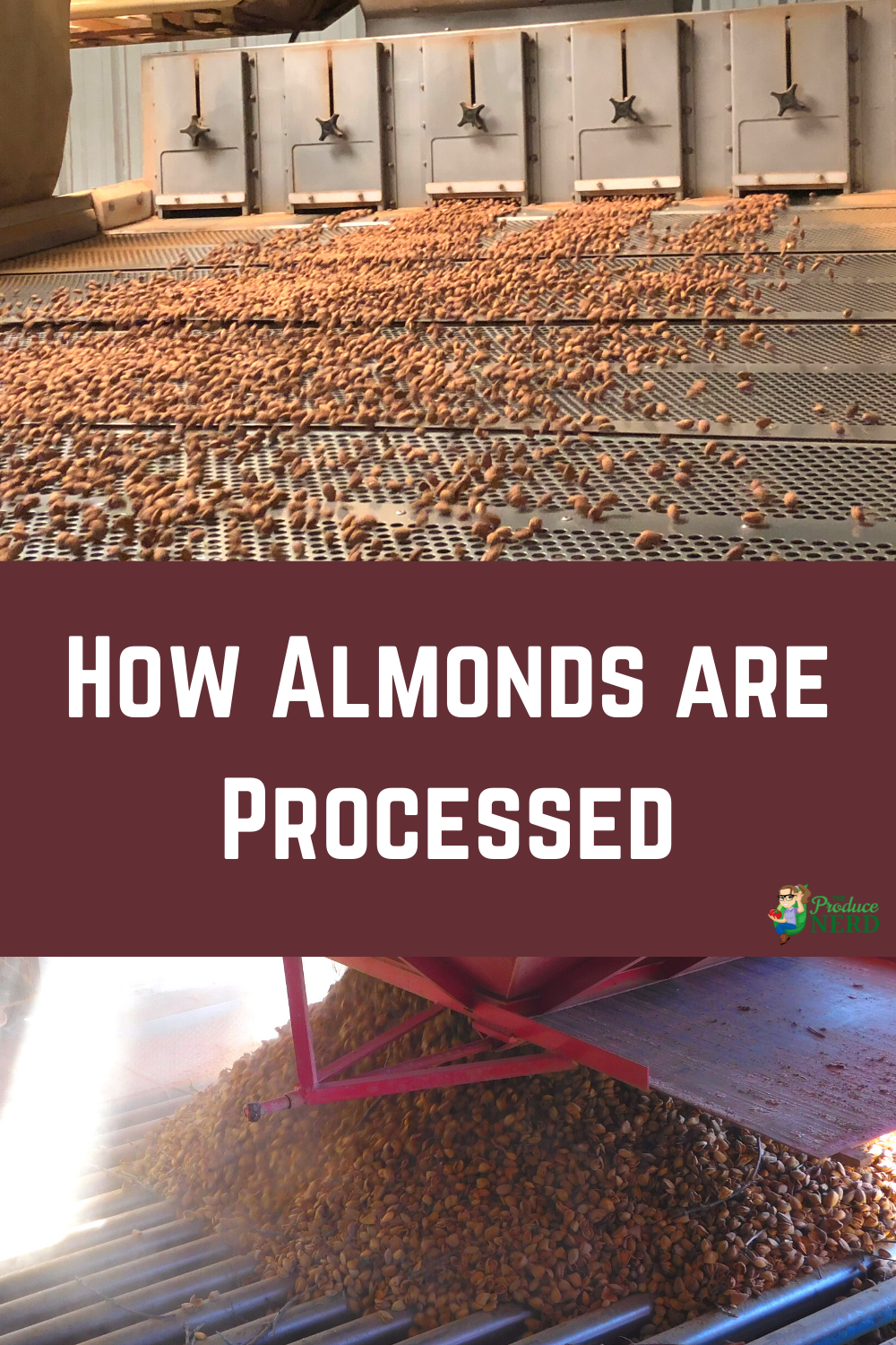 Read more about the article Almond Processing: Pre-Cleaning, Hulling & Processing