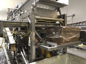 Cauliflower Processing - Drying Machine