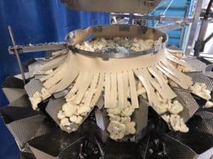 Cauliflower Processing - Multi Head Weighing Machine