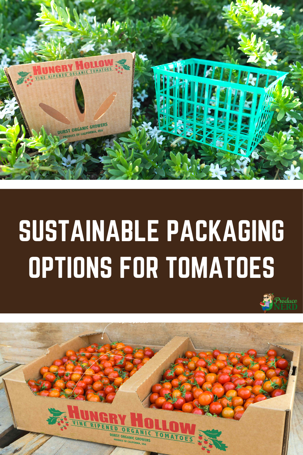 Read more about the article How a 30-Year-Old Organic Farm Embraced More Sustainable Packaging Materials