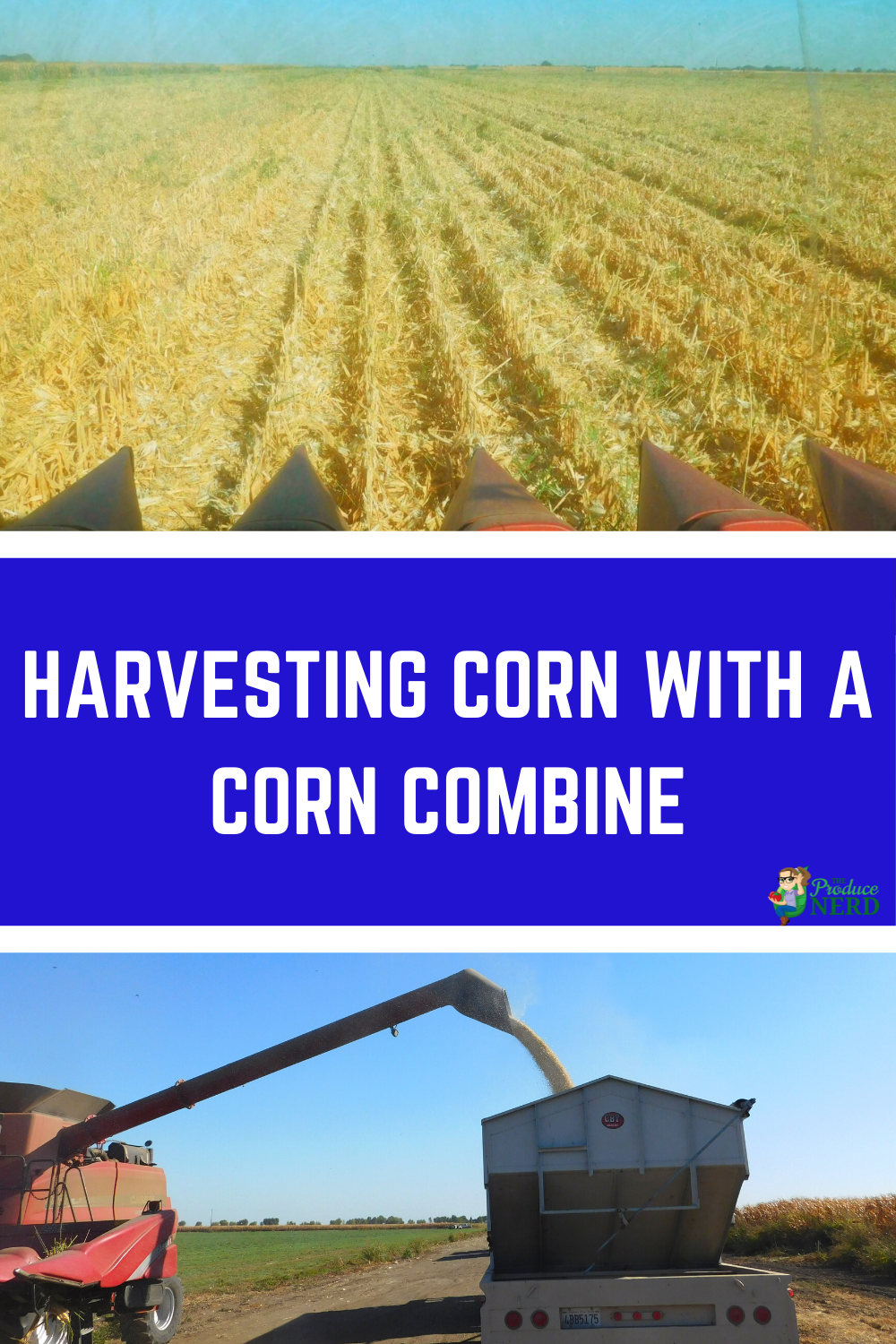 Read more about the article Harvesting Corn Using a Corn Combine