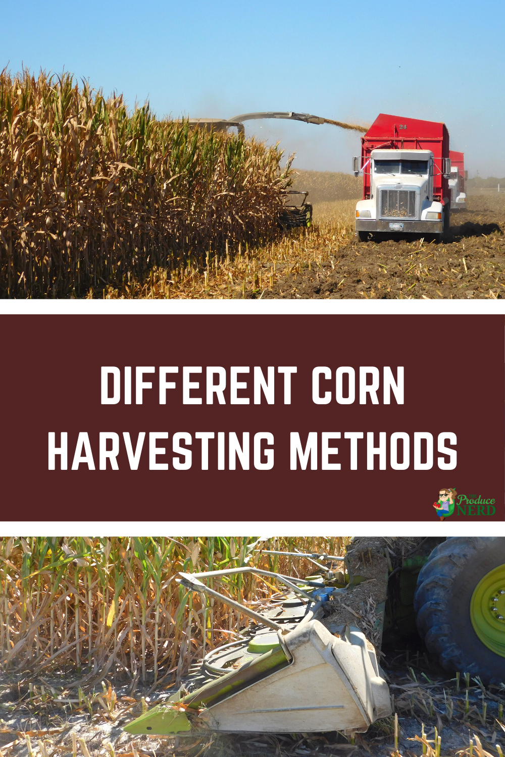 Read more about the article Corn Harvesting for Fresh Corn, Processing Corn & Corn Silage