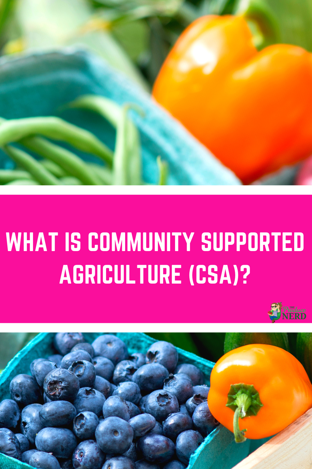 What Is Community Supported Agriculture (CSA) & My Experience Trying A ...