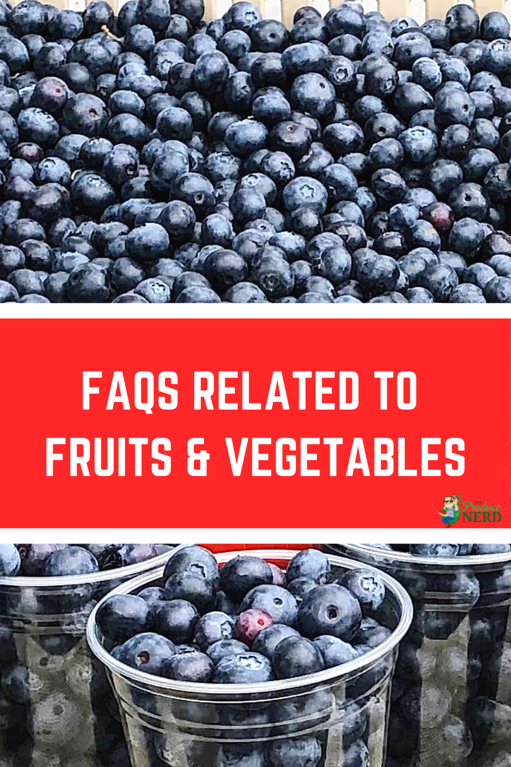 Read more about the article Frequently Asked Questions about Fruits & Vegetables