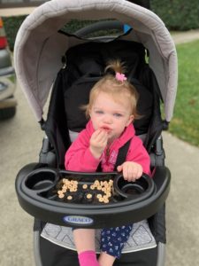 healthy stroller snacks