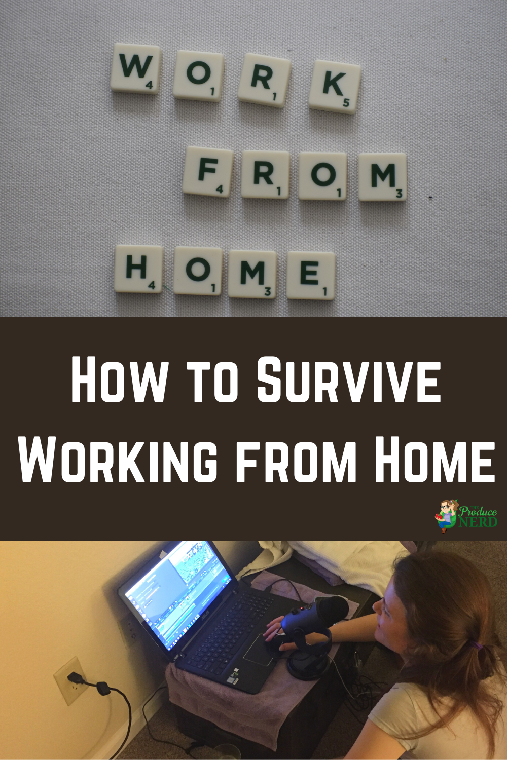 Read more about the article How to Survive Working from Home