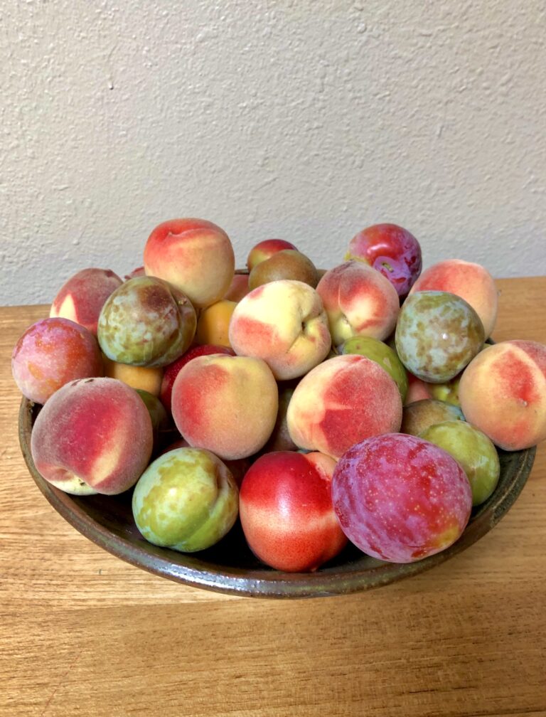 Fruit Bowl