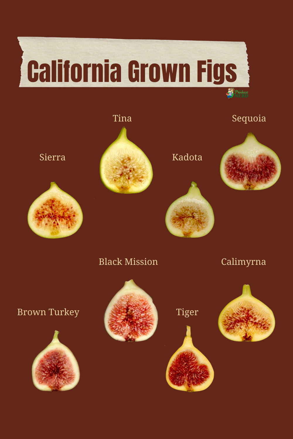 Read more about the article California Figs: Fig Cultivars Grown Commercially