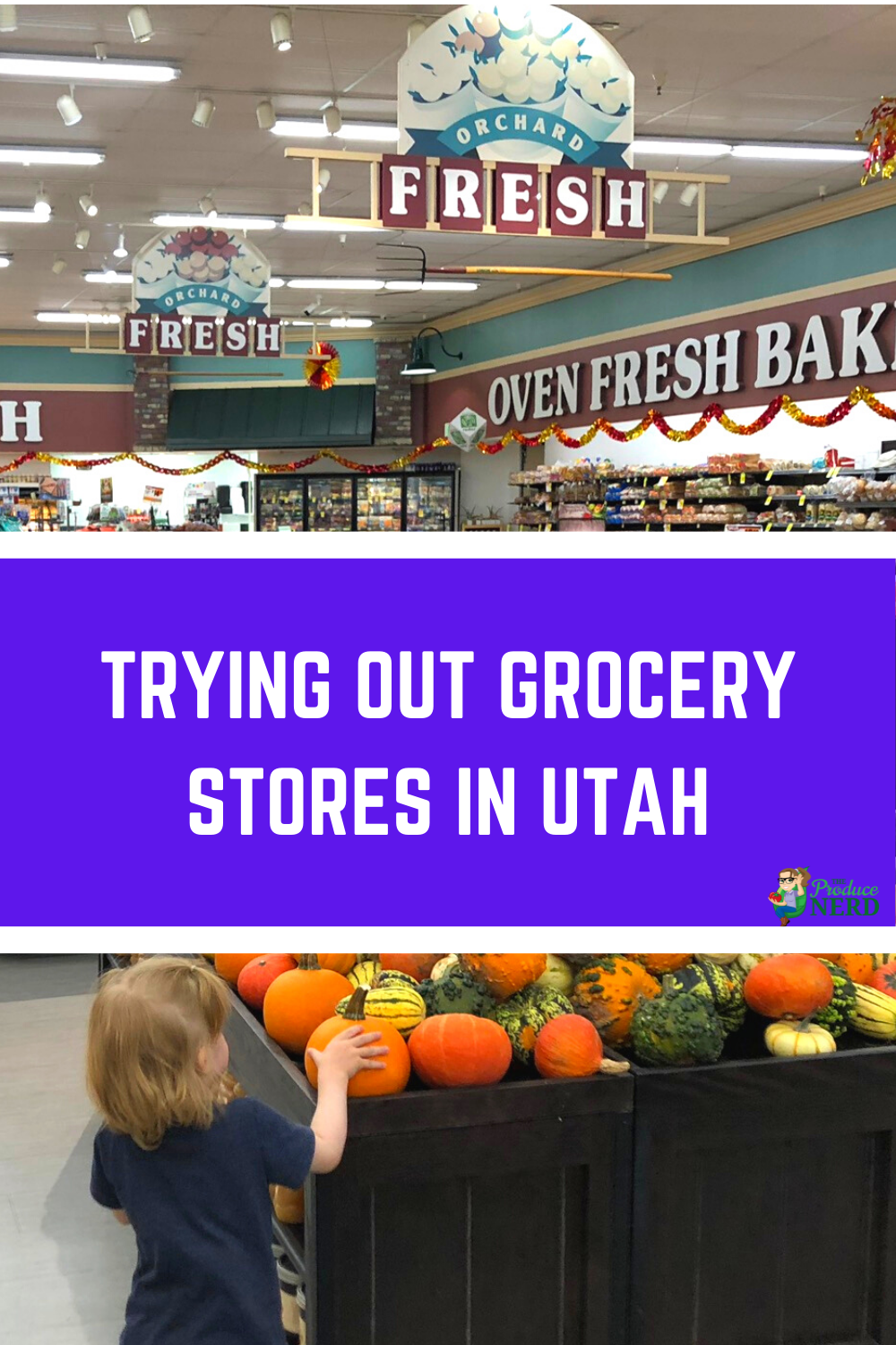 Read more about the article Trying Out Grocery Stores in Utah