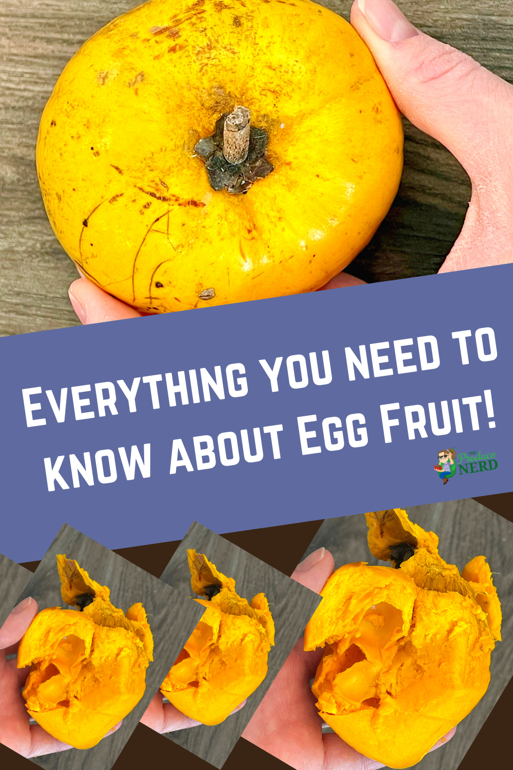 Read more about the article Egg Fruit (Canistel): What Does it Taste Like, When is it Ripe & More!