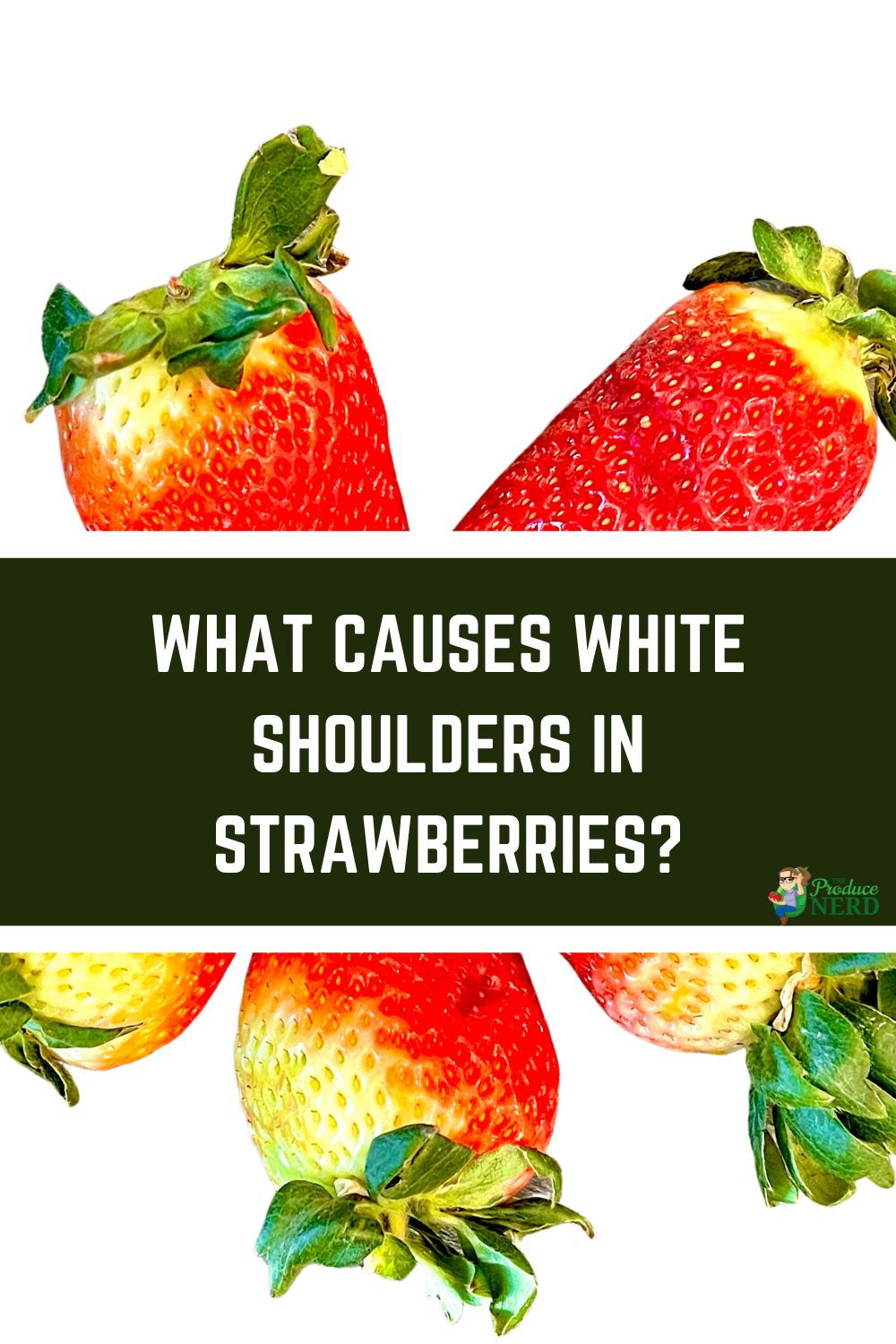 Read more about the article What Causes White Shoulders in Strawberries?