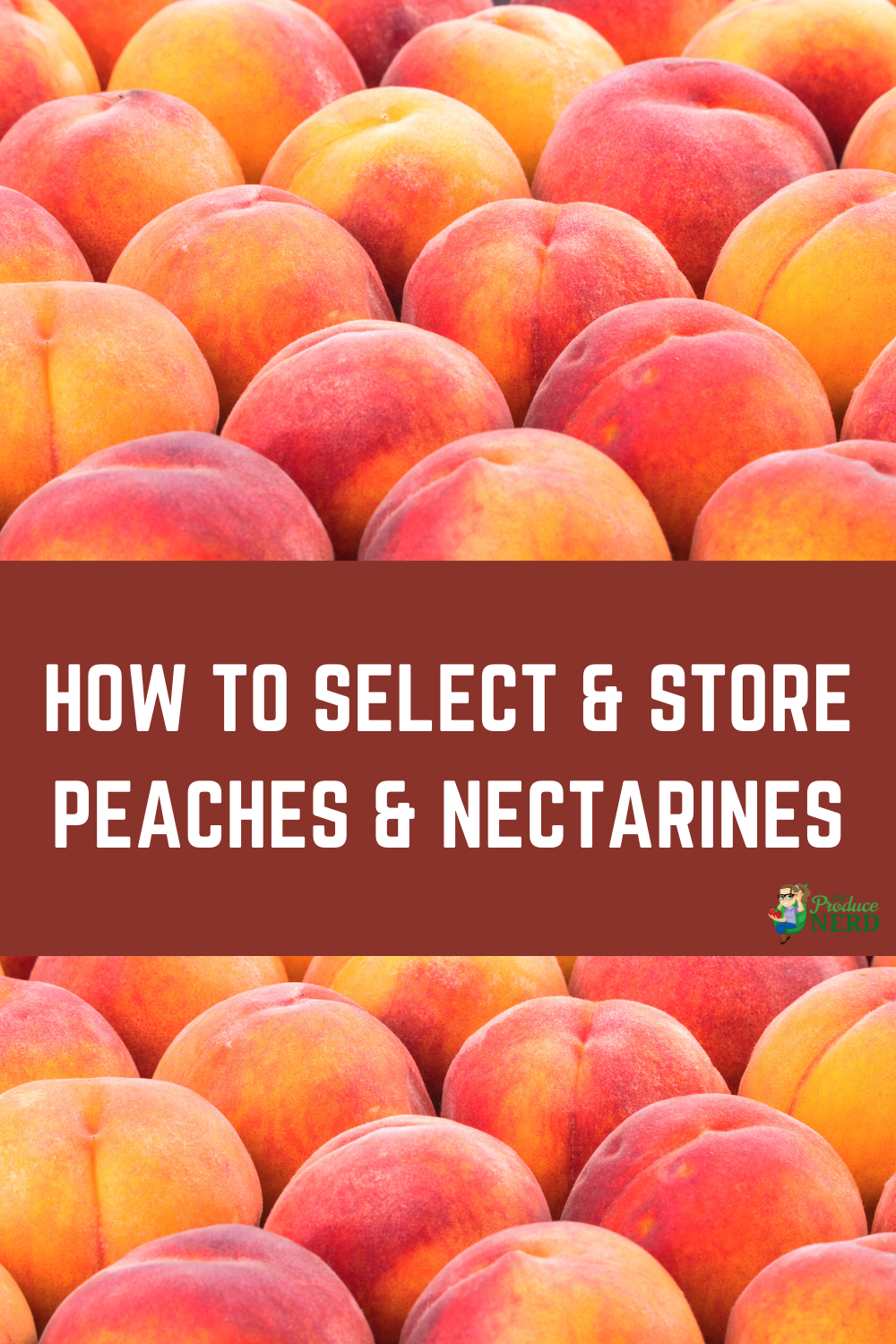 Read more about the article How to Select & Store Peaches & Nectarines